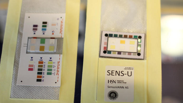 Bleieinnlegget SENS-U inneholder også et fargekart. Resultatene kan leses manuelt eller scannes med en mobilapp. Foto: An-Magritt Larsen