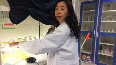 Ikumi Umetani ved Universitetet i Sørøst-Norge har brukt flere år på å studere mikroalger i ferskvann. Nylig disputerte hun for doktorgraden. Foto