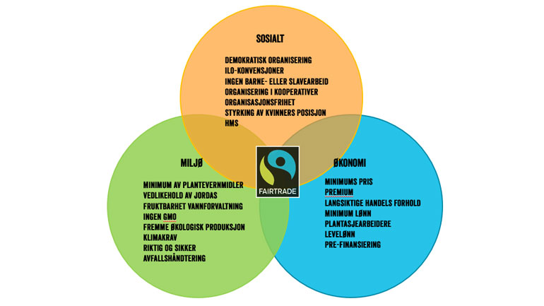 De tre bærekraftsaspektene ved Fairtrade