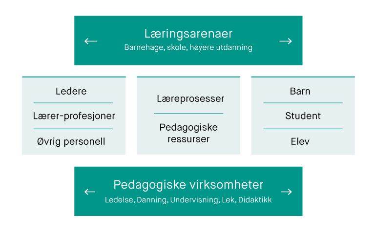 Modell for pedagogiske ressurser og læreprosesser