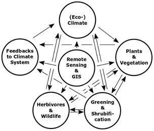 Figur med sirkler og piler som viser climate change som forklares i den engelske teksten.