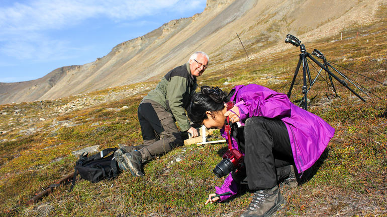Professor emeritus Arvid Odland og doktorgradsstipendiat Gauri Bandekar tar prøvar av vegetasjon og jordsmonn i Adventsdalen på Spitsbergen.  (Foto: Live Semb Vestgarden
