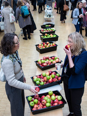 to kvinner prater og gomler på epler, som de har forsynt sge med fra flere store trau som står i et åpent rom fullt av folk som deltar på Profesjonskonferansen for lærere.